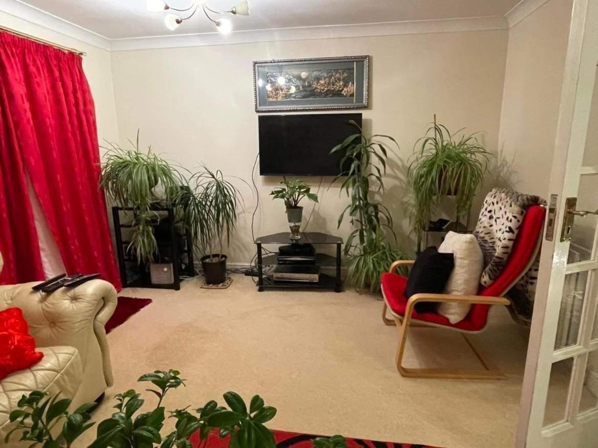 Cozy Homestay Croydon Exterior foto